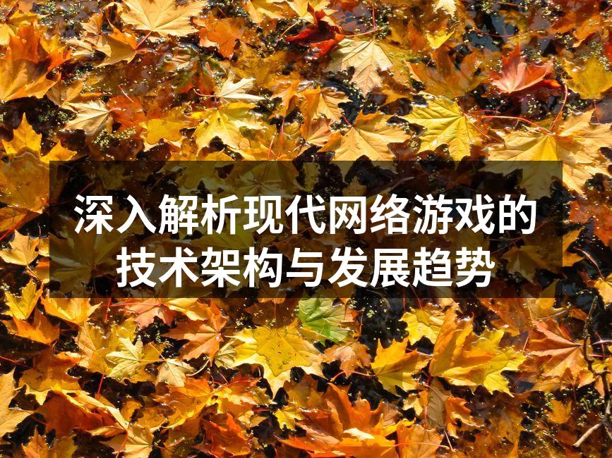 深入解析现代网络游戏的技术架构与发展趋势